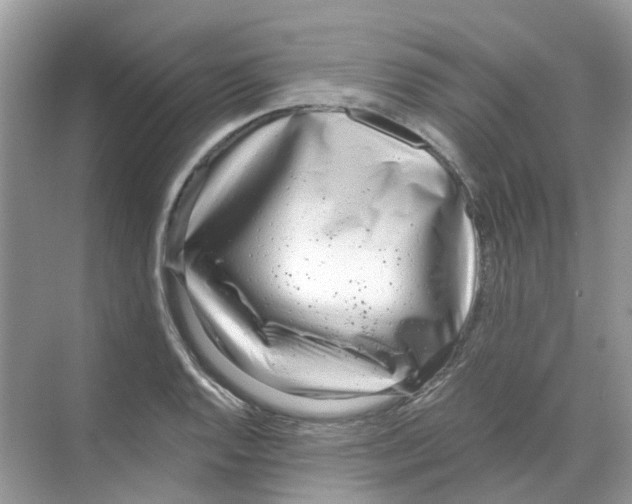 X0000068261128200605121813