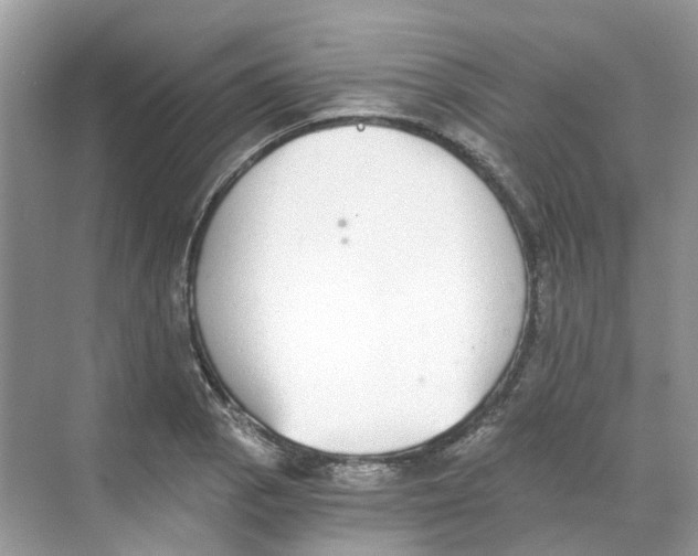 X0000068261129200605121813