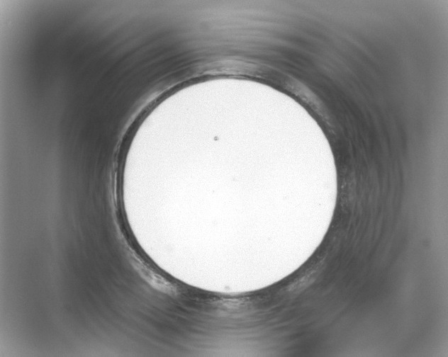 X0000068261130200605121813