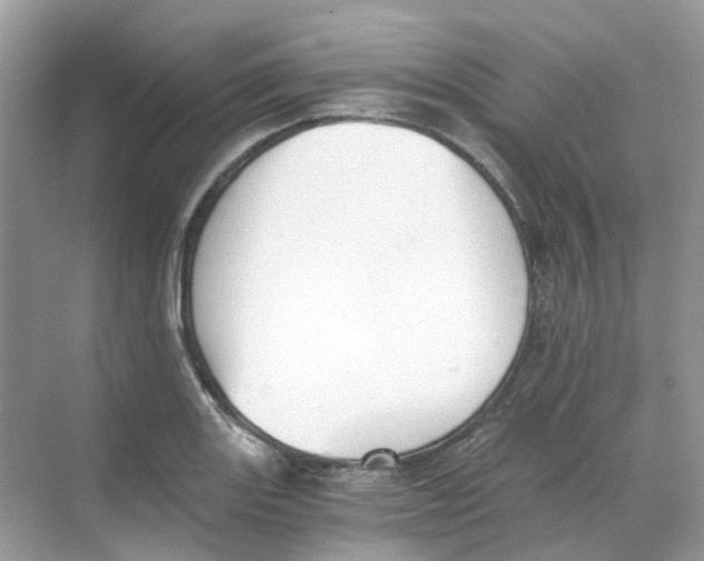 X0000068261131200605121813