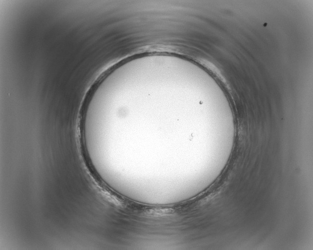 X0000068261133200605121813