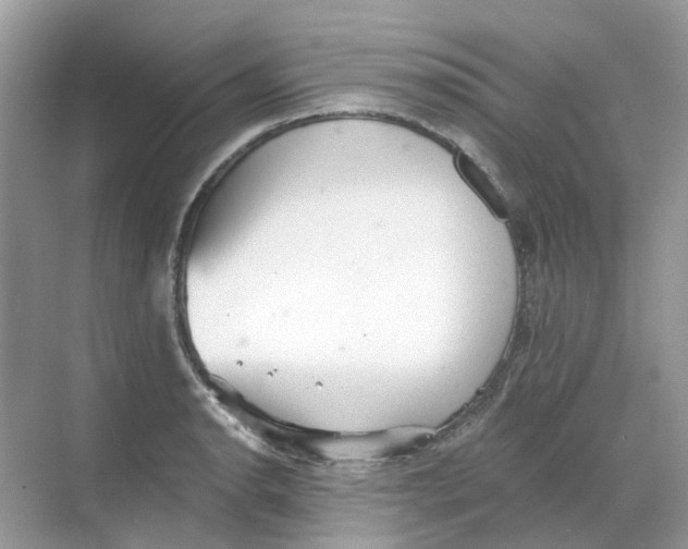 X0000068261134200605121813