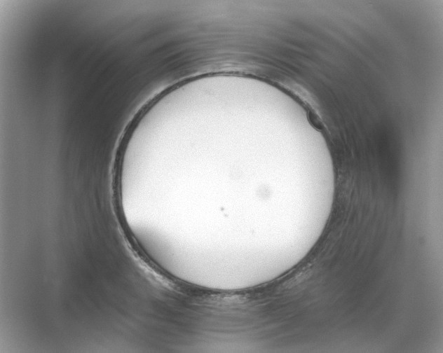 X0000068261135200605121813