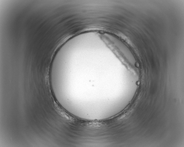 X0000068261137200605121813