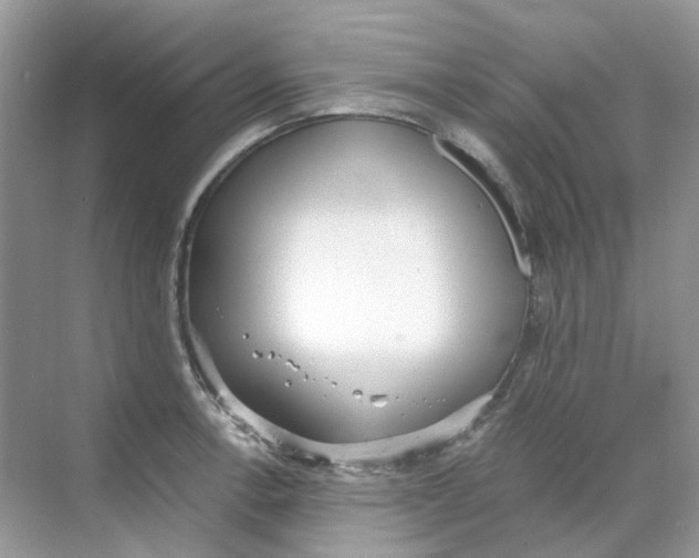 X0000068261138200605121813