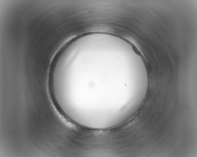 X0000068261139200605121813