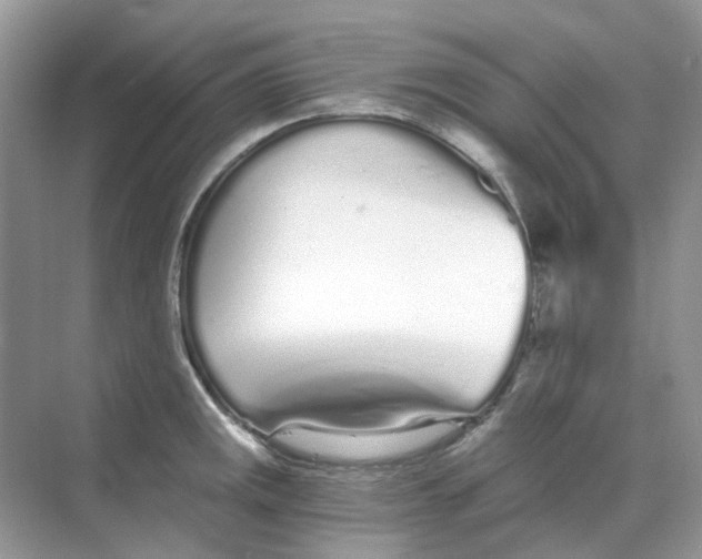 X0000068261141200605121813