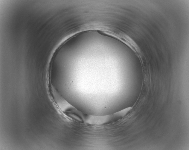 X0000068261144200605121813