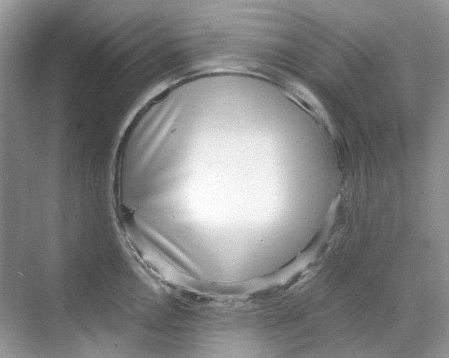 X0000068261146200605121813