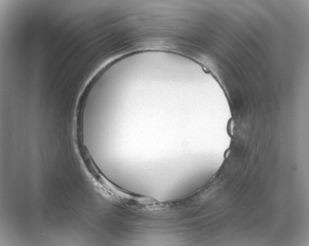 X0000068261147200605121813