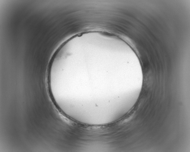 X0000068261149200605121813