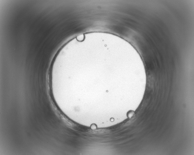 X0000068261150200605121813