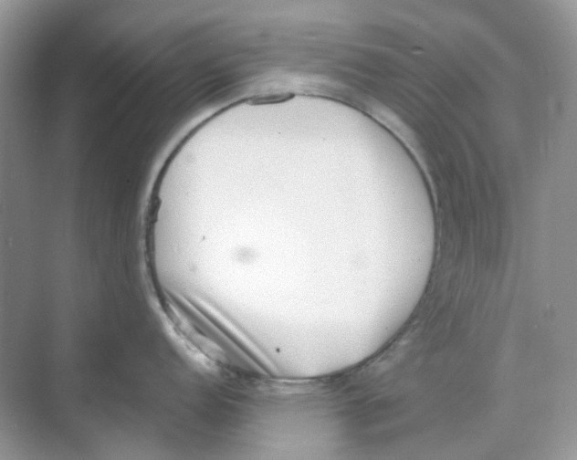 X0000068261152200605121813