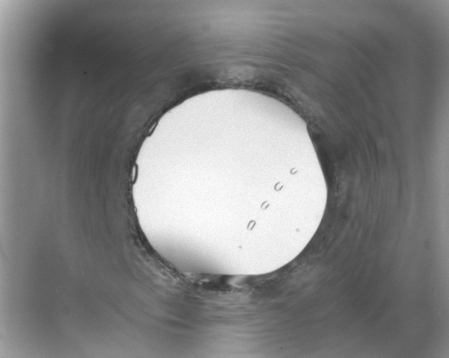 X0000068261153200605121813