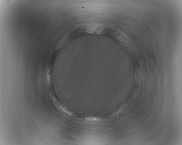 X0000068261154200605121813