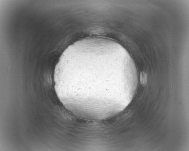 X0000068261155200605121813