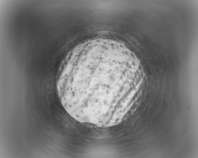 X0000068261158200605121813