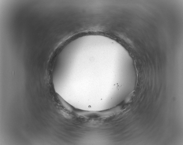 X0000068261160200605121812