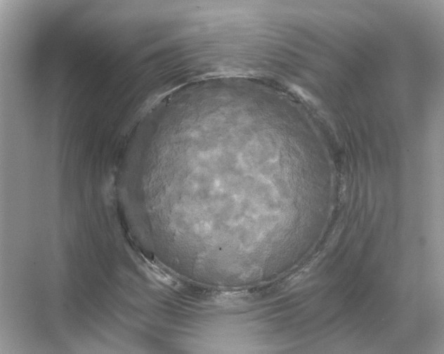 X0000068261161200605121812