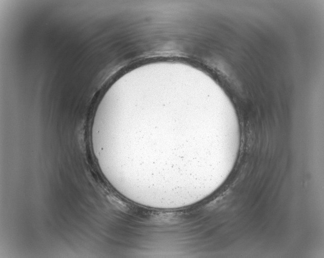 X0000068261162200605121812