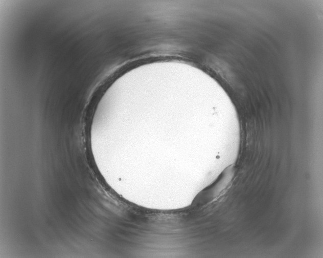 X0000068261164200605121812