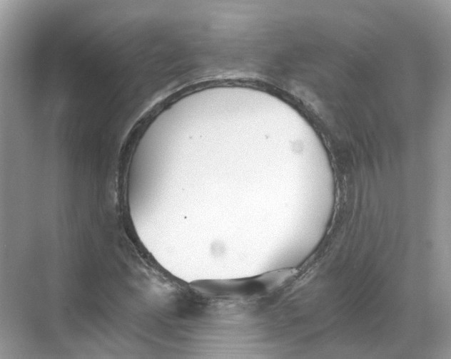 X0000068261165200605121812