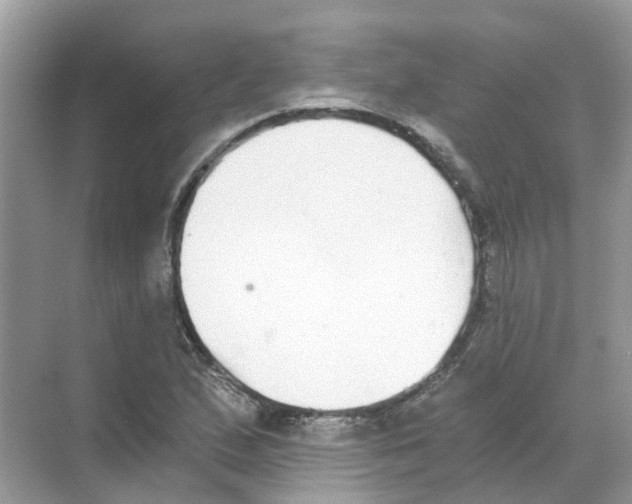 X0000068261167200605121812