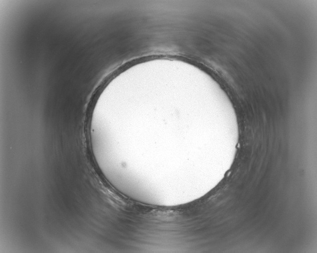 X0000068261168200605121812