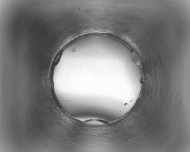 X0000068261173200605121812