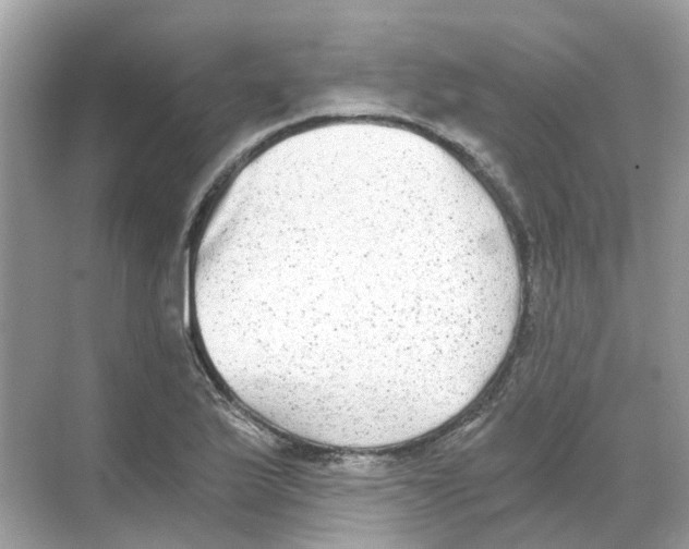 X0000068261175200605121812