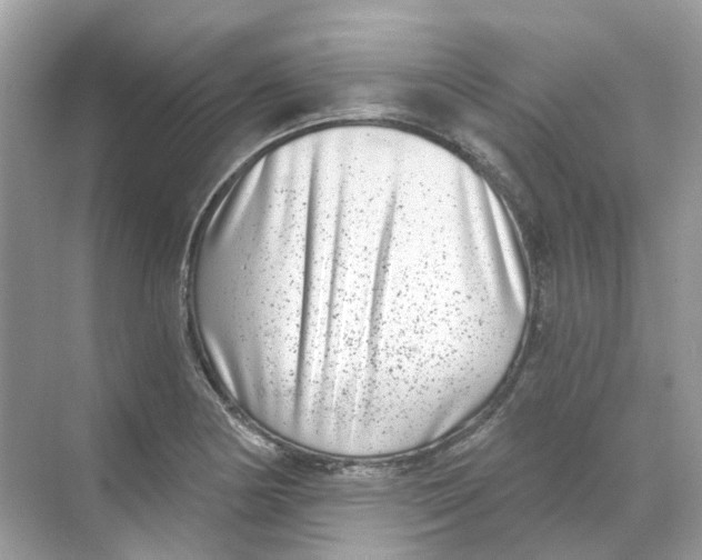 X0000068261178200605121812