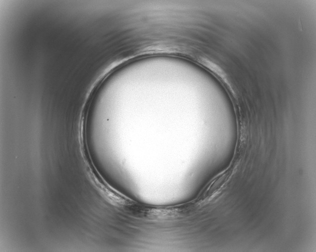 X0000068261179200605121812