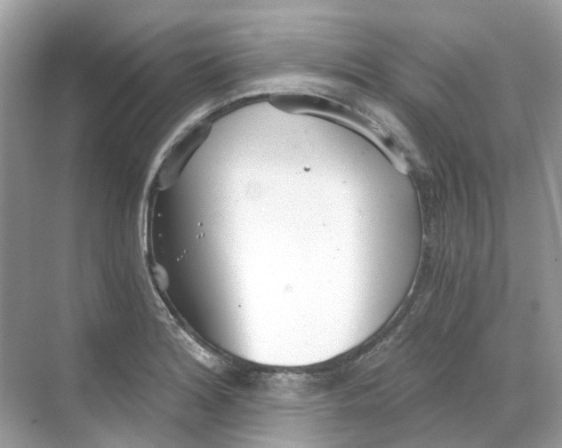 X0000068261180200605121812