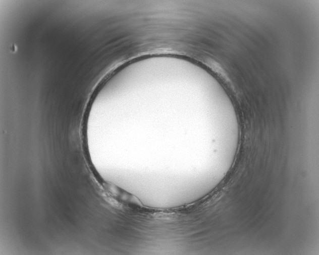 X0000068261181200605121812