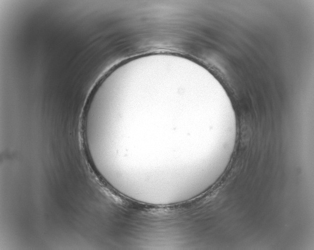 X0000068261182200605121812