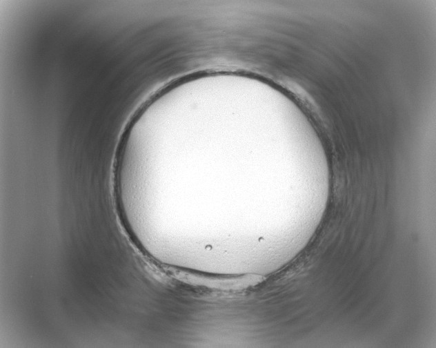 X0000068261183200605121812