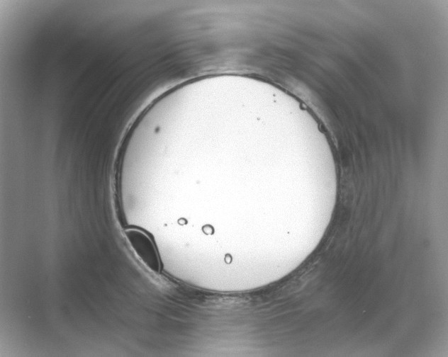 X0000068261187200605121812