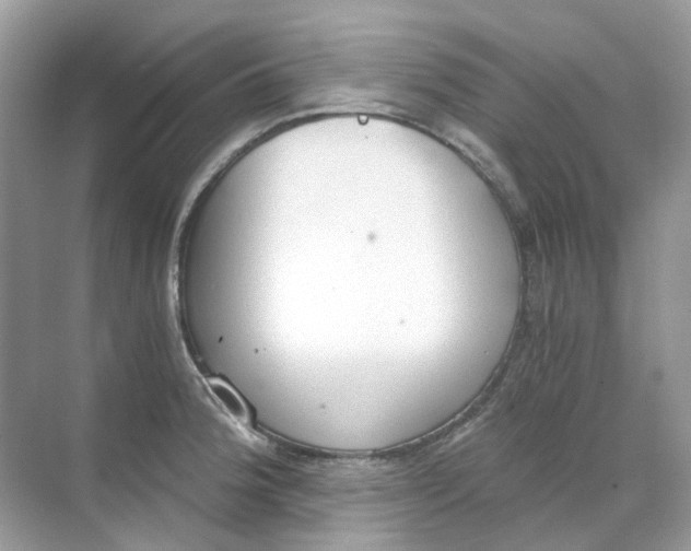 X0000068261188200605121812