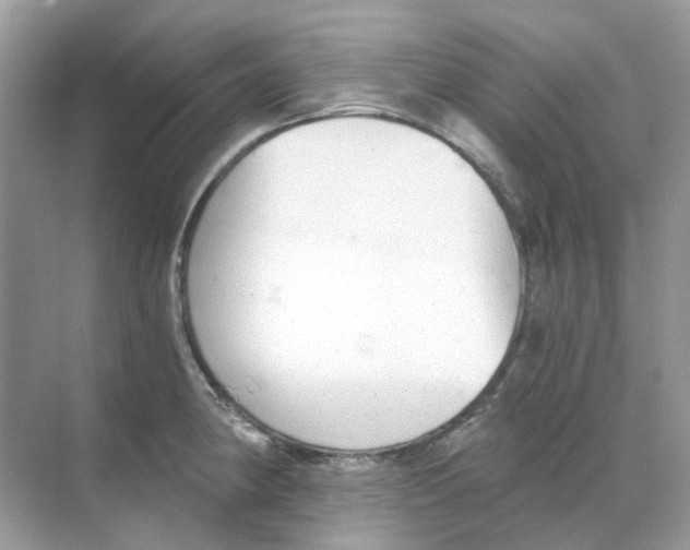 X0000068261190200605121812