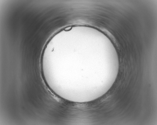 X0000068261191200605121812