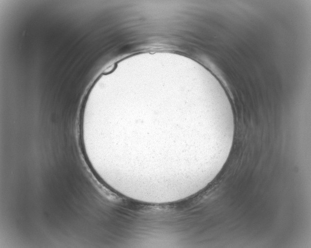 X0000068261195200605121812