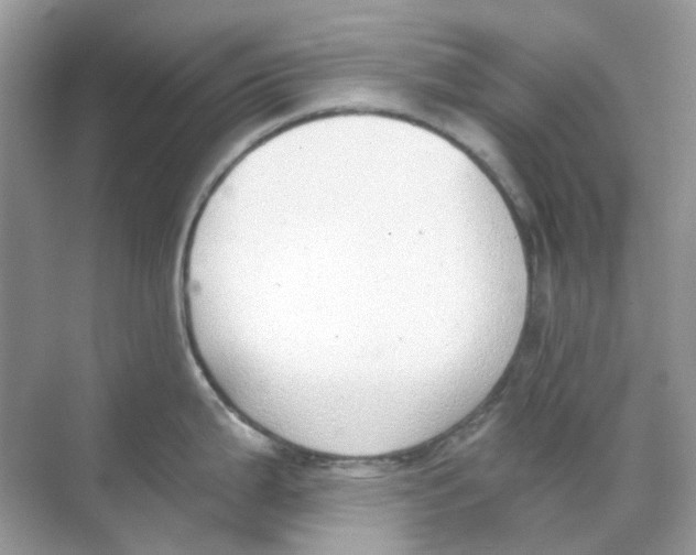 X0000068261199200605121812