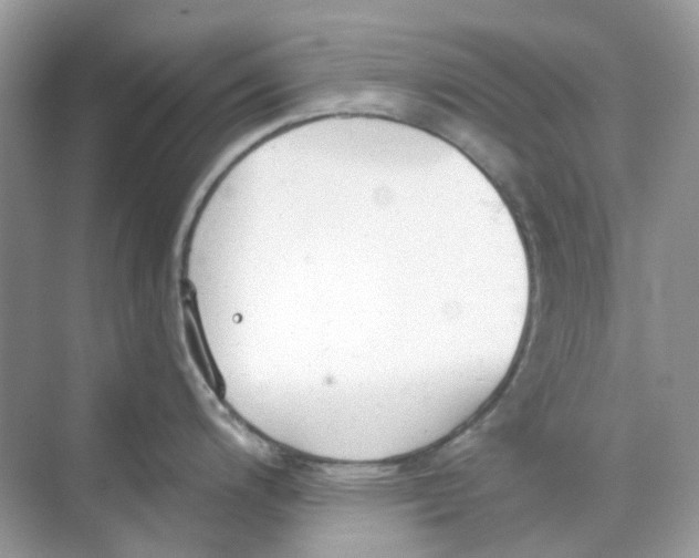 X0000068261200200605121812