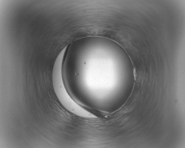 X0000068261202200605121811