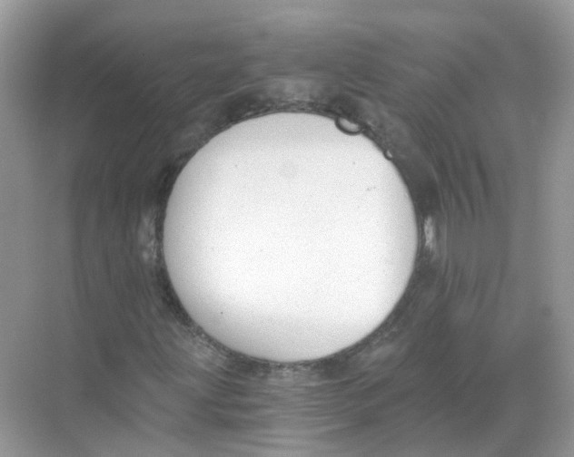 X0000068261203200605121811