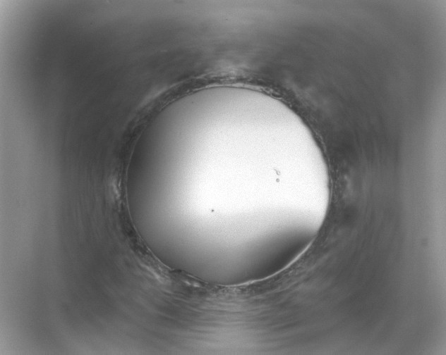 X0000068261206200605121811