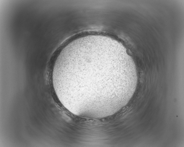 X0000068261208200605121811