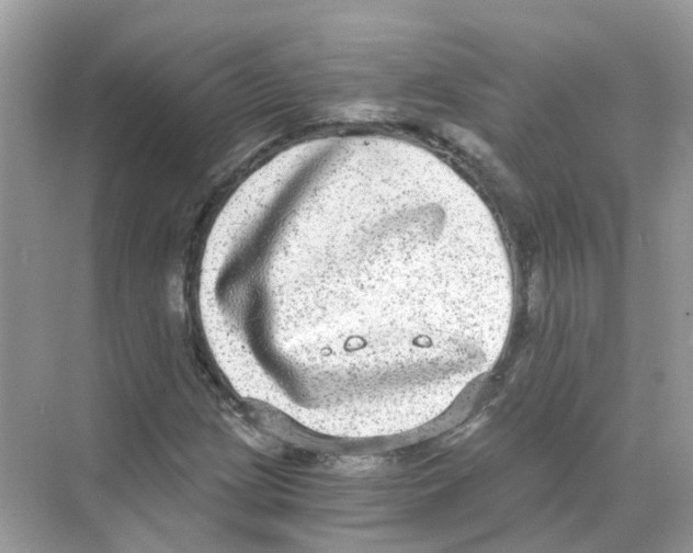 X0000068261209200605121811