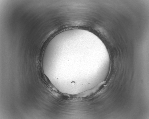 X0000068261210200605121811