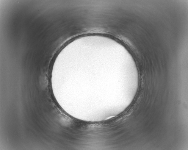 X0000068261212200605121811